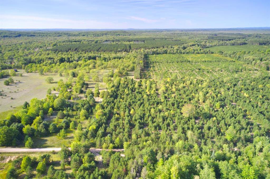 70 Acres B-C-D Wallin Road, Colfax Twp, MI 49683