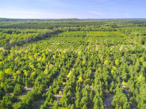 Colfax Twp, MI 49683,15 Acres C Wallin Road