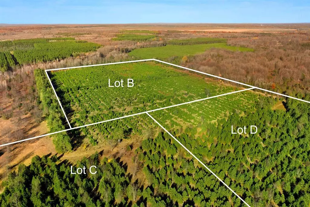 Colfax Twp, MI 49683,15 Acres C Wallin Road