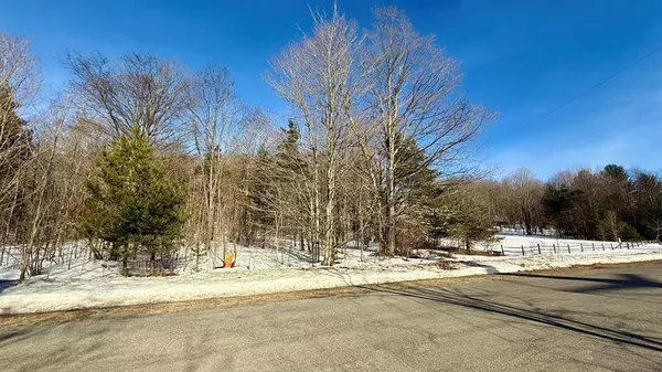 Kearney Twp, MI 49615,Lot 202 Clearview Drive Lot: 202