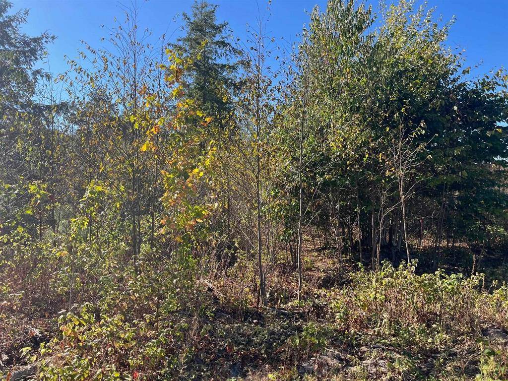 Long Lake Twp, MI 49685,8787 Hemlock Hill Drive