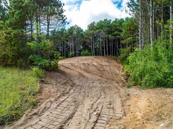 Bingham Twp, MI 49684,7522 S Bingham Ridge Drive