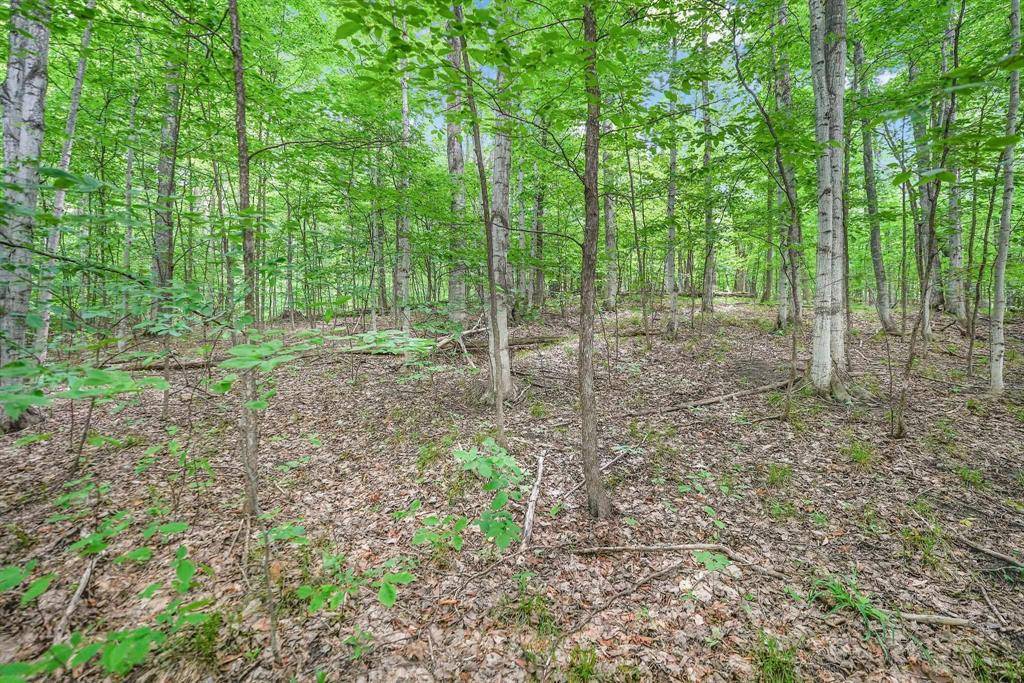 Kasson Twp, MI 49664,V/L S Coleman Road