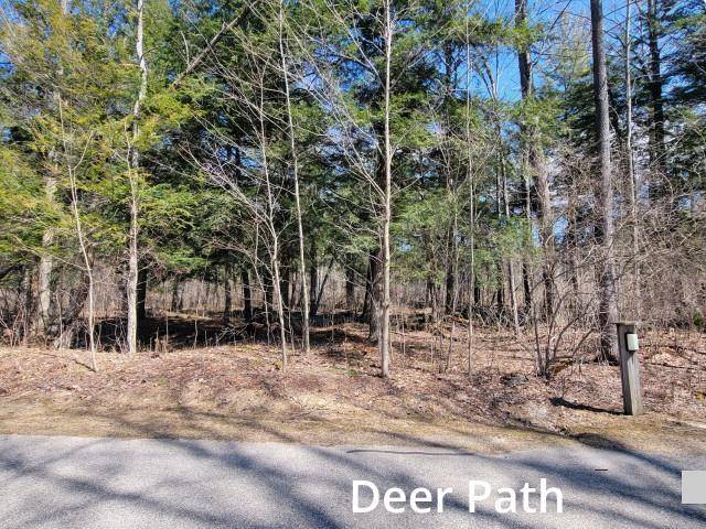Custer Twp, MI 49615,3 Deer Path