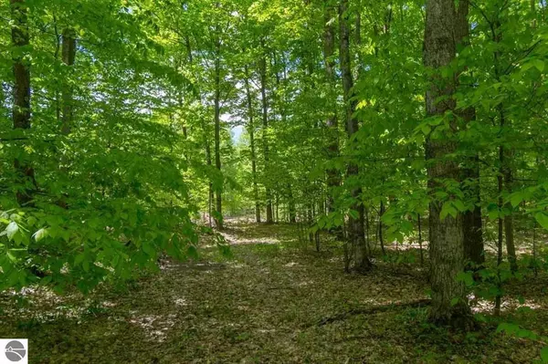 LOT 9 Fleetwood Court Lot: 9, Empire Twp, MI 49630