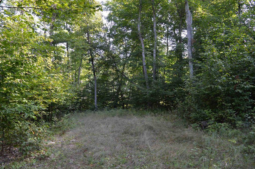 W Leonard Road, Custer Twp, MI 49659