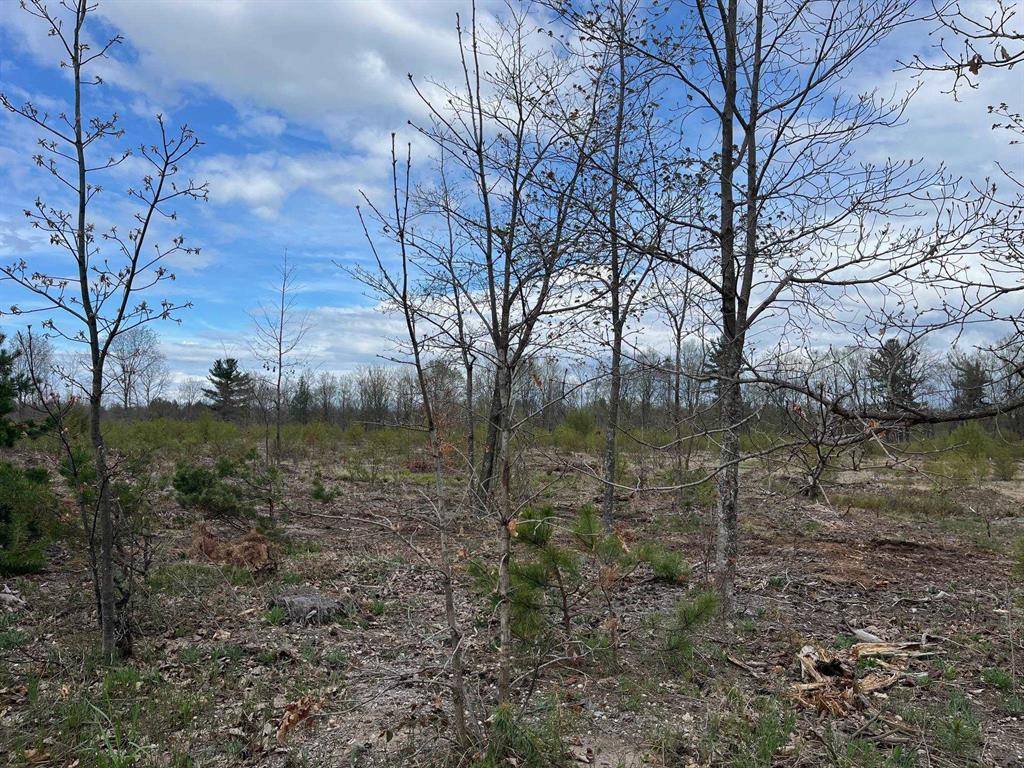 Inland Twp, MI 49640,Carmean Road