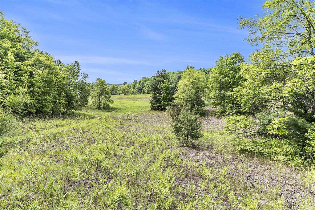 00 East Traverse Highway, Solon Twp, MI 49684