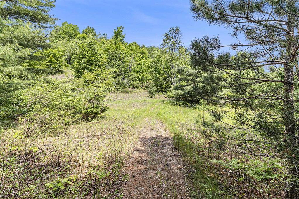 Solon Twp, MI 49684,00 East Traverse Highway