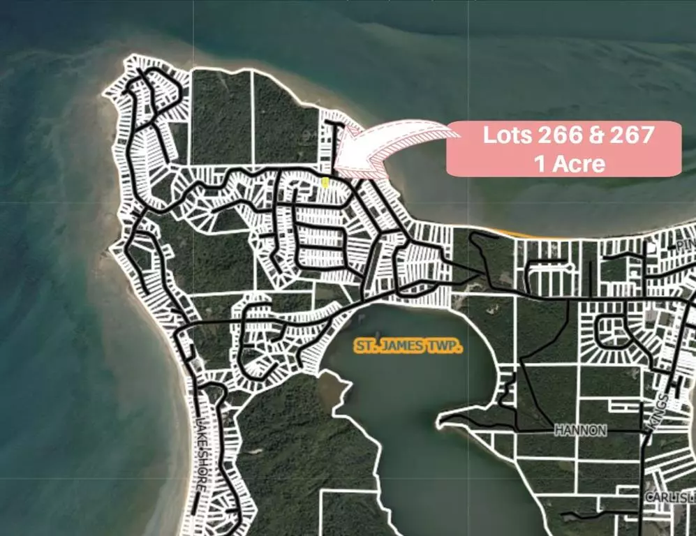 St. James Twp, MI 49782,TBD Island Woods Road