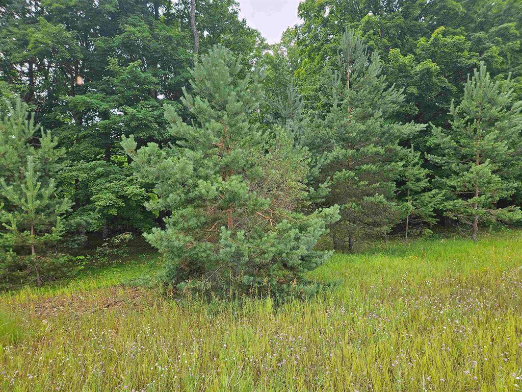 Excelsior Twp, MI 49646,0000 V/L C Grass Lake Road Lot: C