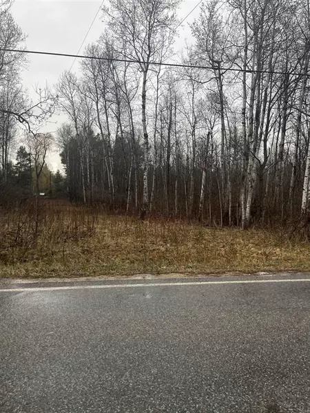 0 N Michigan Avenue, Cedar Creek Twp, MI 49663