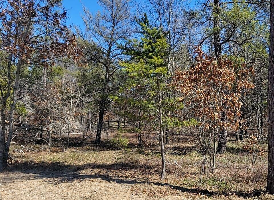 Grayling Twp, MI 49738,Site 7 Lumberjack Court