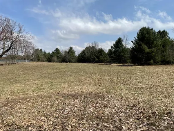 Haring Twp, MI 49601,1128 Plett Road