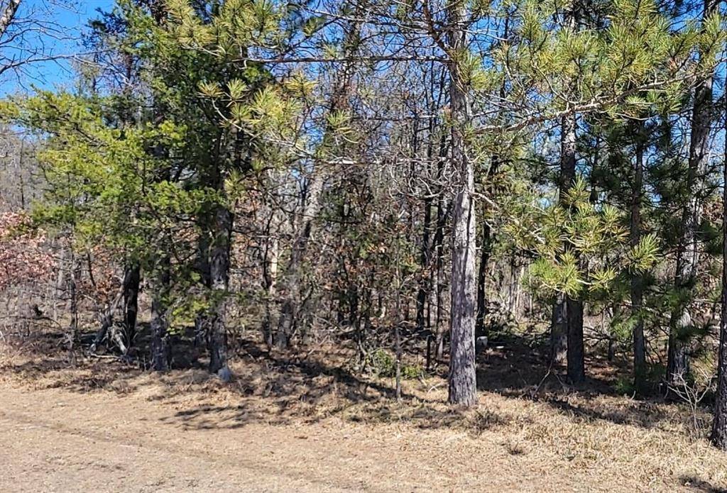 Site 9 Lumberjack Court, Grayling Twp, MI 49738