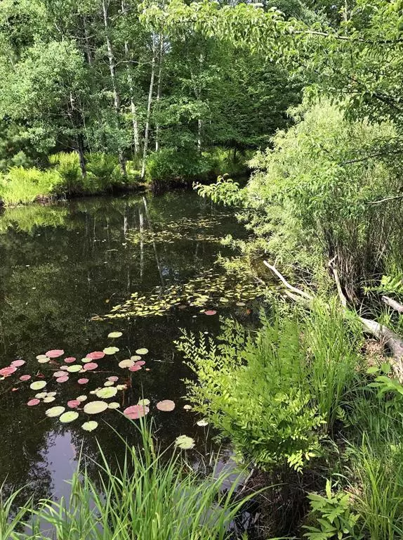 00 W Deborah Ann Trail, Empire Twp, MI 49630