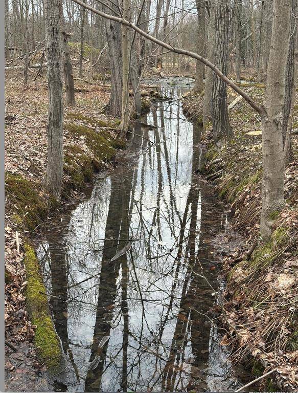 Empire Twp, MI 49630,00 W Deborah Ann Trail