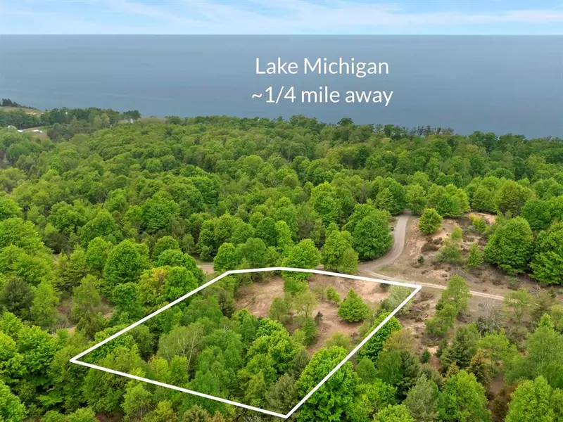 15380 Lake Bluff Drive, Arcadia Twp, MI 49613