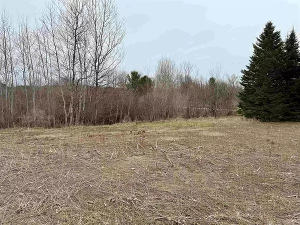 Fife Lake Twp, MI 49649,Gleaner Hall Road Lot 3 & 4