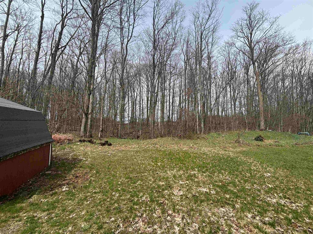 Blair Twp, MI 49685,4644 Springcress Lane