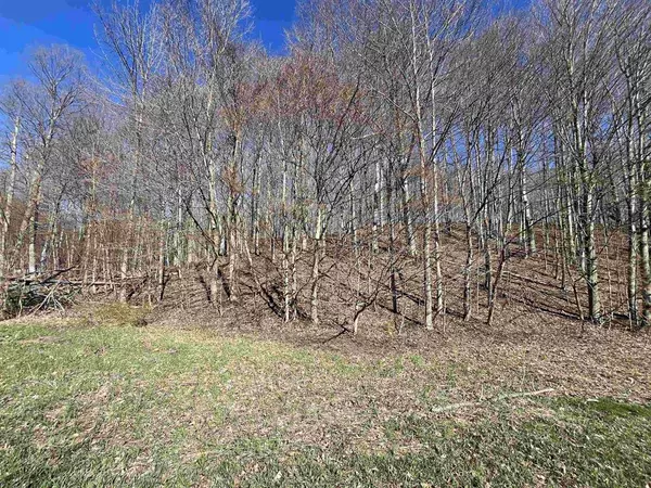 Parcel C Lobb Road,  Crystal Lake Twp,  MI 49635