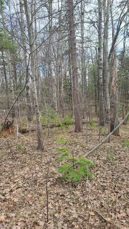 Kalkaska Twp, MI 49646,0000 Laura Lane Lot: 7