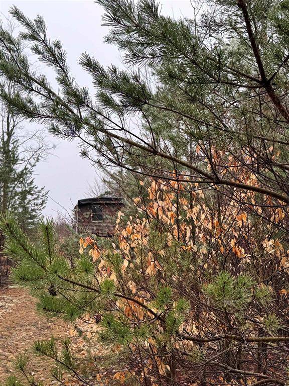 County Line Road, Cold Springs Twp, MI 49659