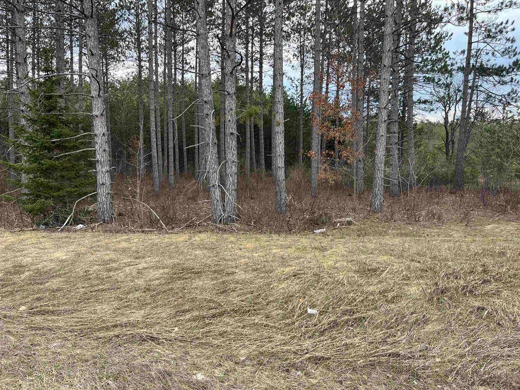6234 NE US-131 N, Rapid River Twp, MI 49646