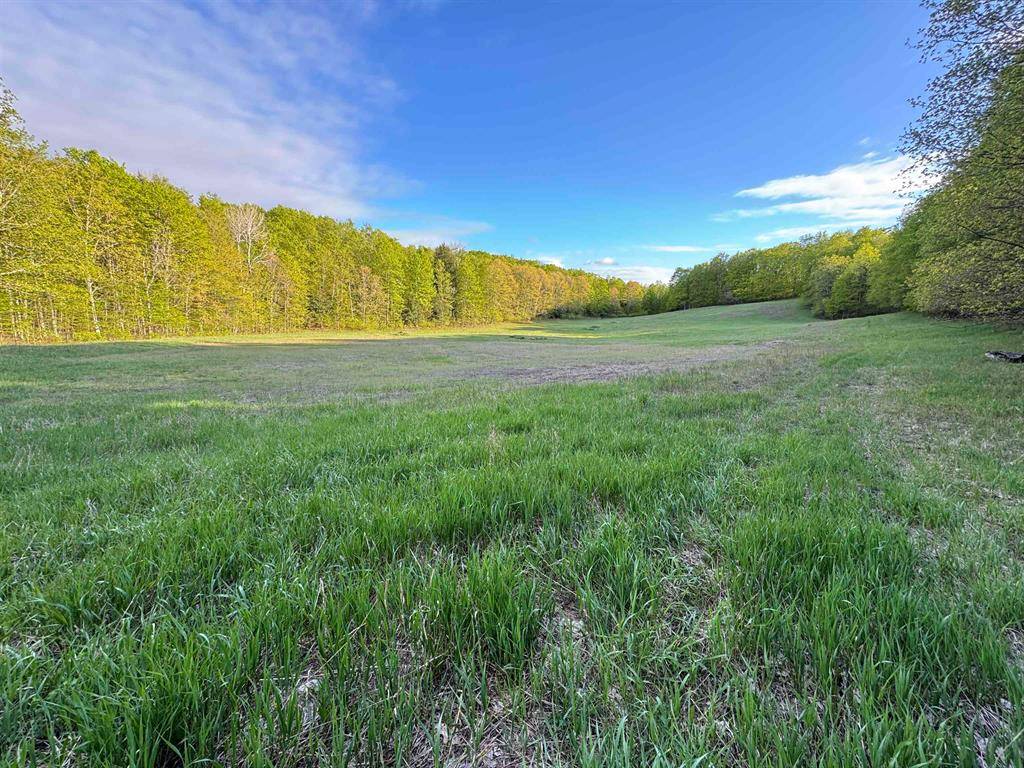 00 W Empire Highway, Kasson Twp, MI 49630