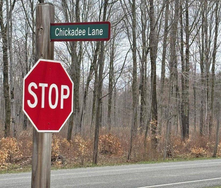 Springdale Twp, MI 49683,47 Chickadee Lane