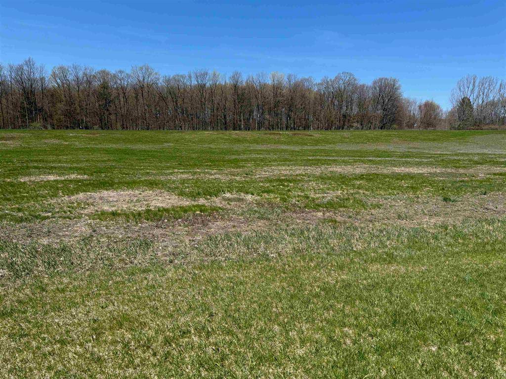 Parcel 1 S Ruby Lane, Leland Twp, MI 49653
