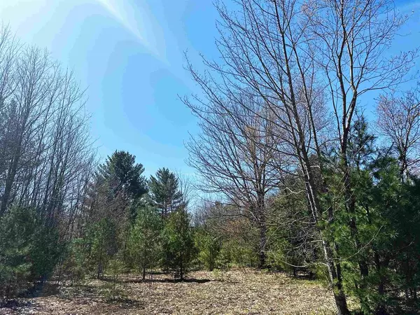 Orange Twp, MI 49646,V/L SE Bobcat Trail