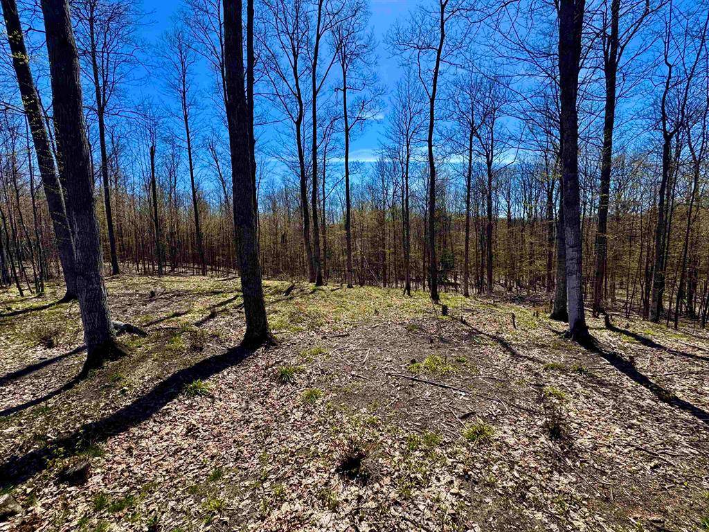 1913 N Blue Water Court, Suttons Bay Twp, MI 49682