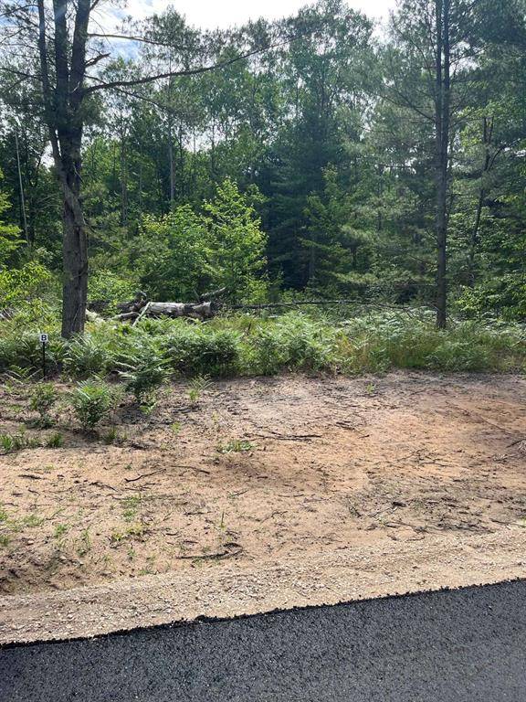 Blair Twp, MI 49685,TBD Hoosier Flats Road Lot: B