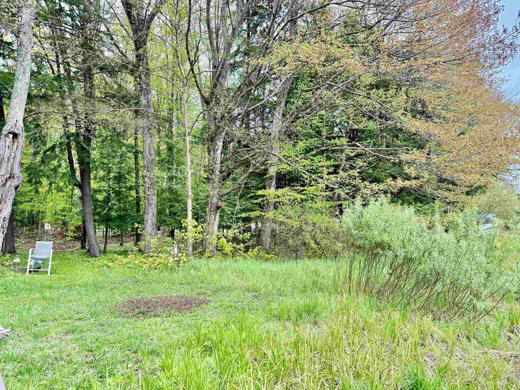 Selma Twp, MI 49601,448 Autumn Road Lot: 83&84