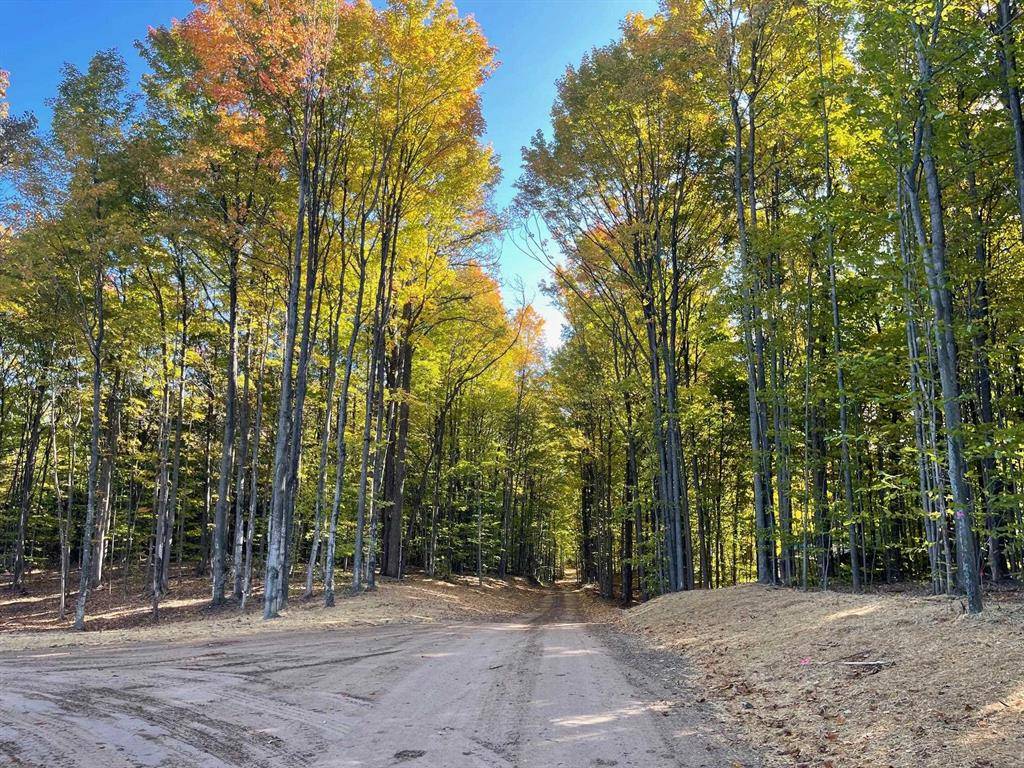 Springfield Twp, MI 49633,10601 SW Old Oak Trail Lot 3