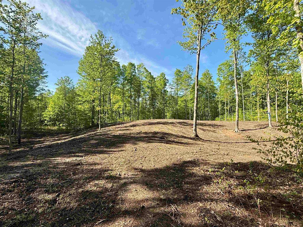 B12 E Solaris Way Lot: B12, Kasson Twp, MI 49664