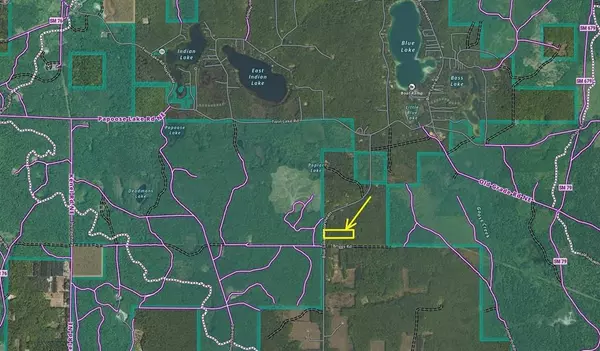 5124 Blue Lake Road,  Ne,  Blue Lake Twp,  MI 49646