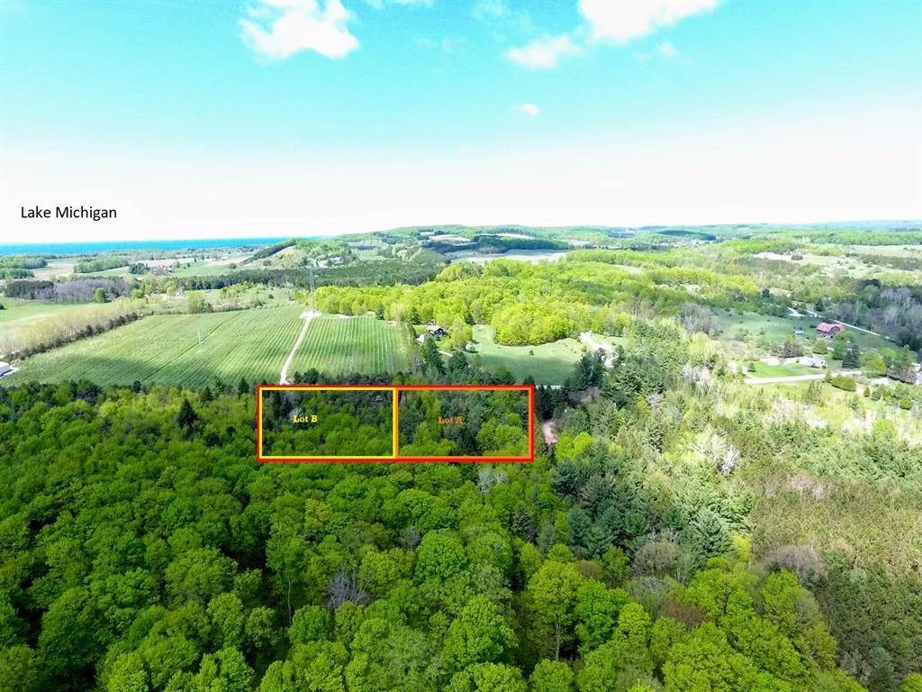 Centerville Twp, MI 49621,Lot A E Bodus Road