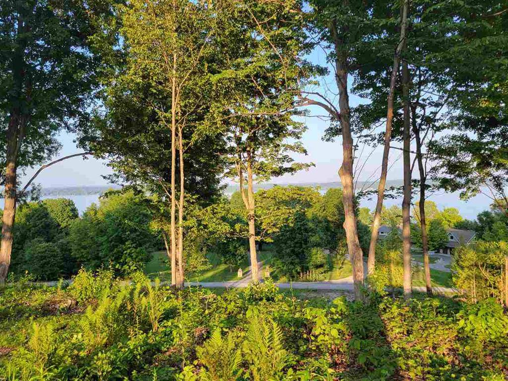 Lot 2 Torch Hills Lane Lot: 2, Milton Twp, MI 49676