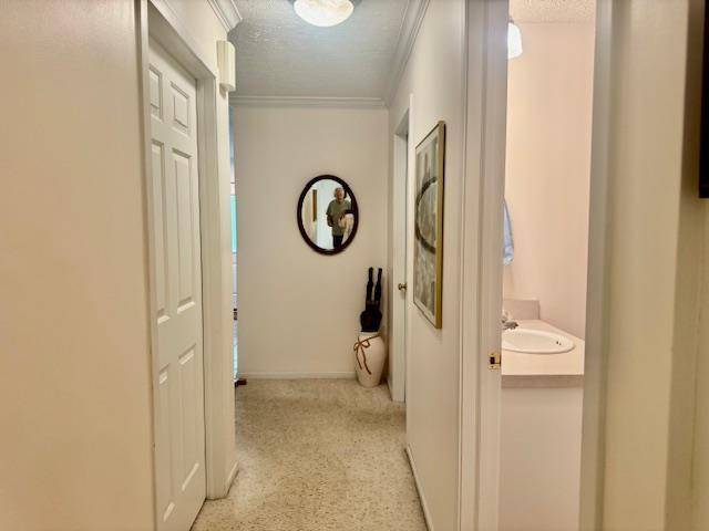 Traverse City, MI 49686,705 Eastgate Place 10 -B