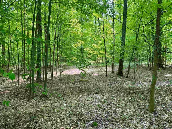 00 Honeybee Road Lot: B, Empire Twp, MI 49621