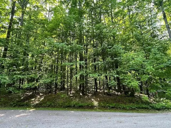 Custer Twp, MI 49615,Lot 6 Willow Bend Lot: 6