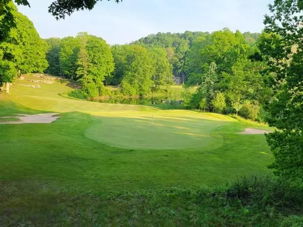 Custer Twp, MI 49615,4492 Forest Trail