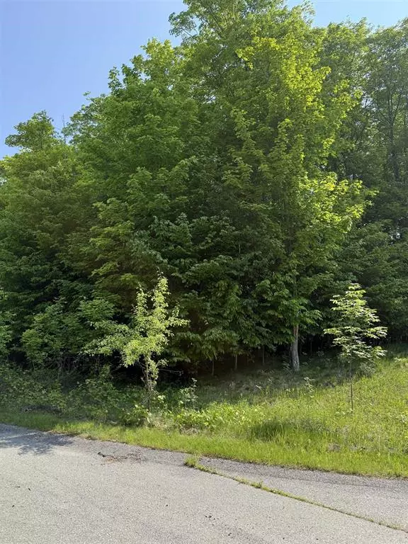 Torch Lake Twp, MI 49648,0000 Mooney Way