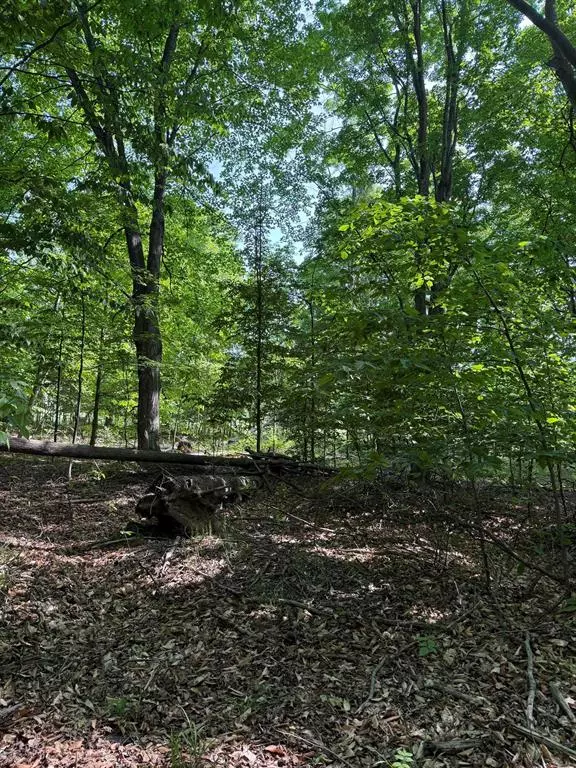 Torch Lake Twp, MI 49648,0000 Mooney Way