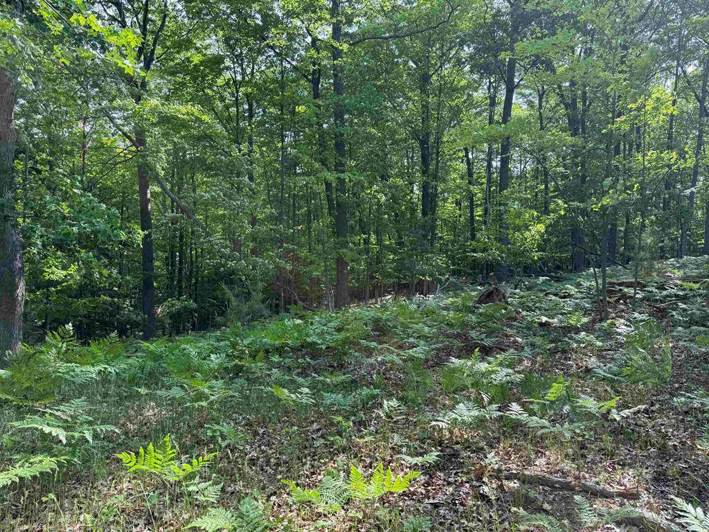 East Bay Twp, MI 49696,Parcel 2B Chandler Road