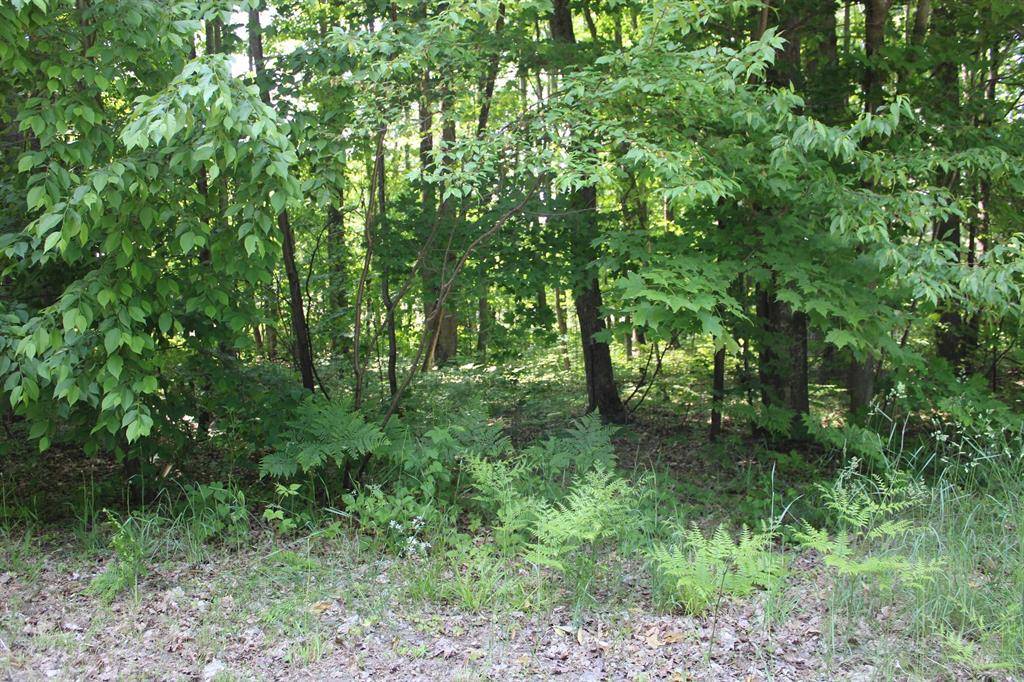 Kalkaska Twp, MI 49646,3156 Co Road 612 NE