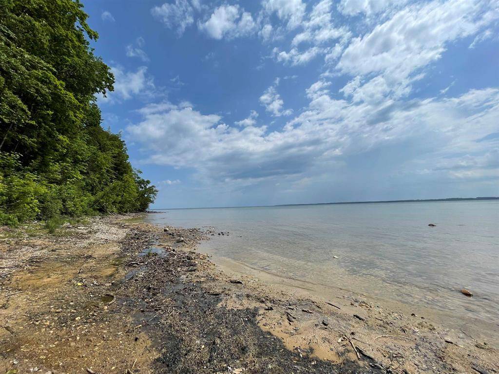 Bingham Twp, MI 49682,A S Lee Point Road