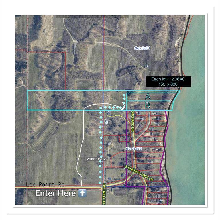 Bingham Twp, MI 49682,B S Lee Point Road